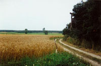 ambona Bia³oskóry ambona Bia³oskóry